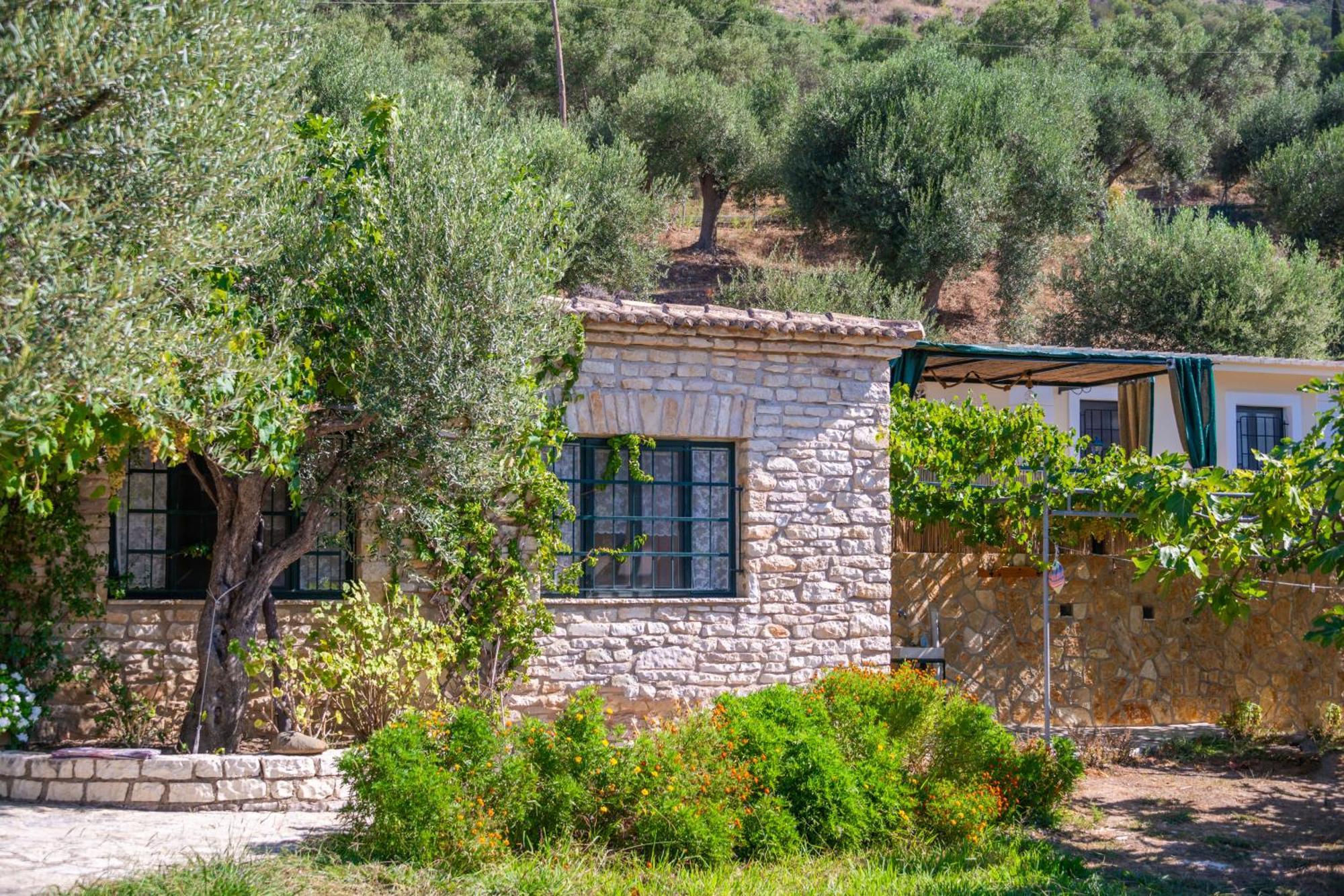 Villa Liodentro - Olea Plataria Exterior foto