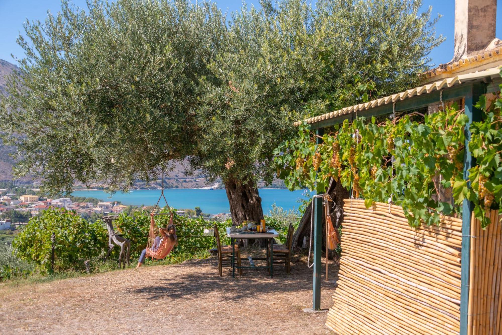 Villa Liodentro - Olea Plataria Exterior foto