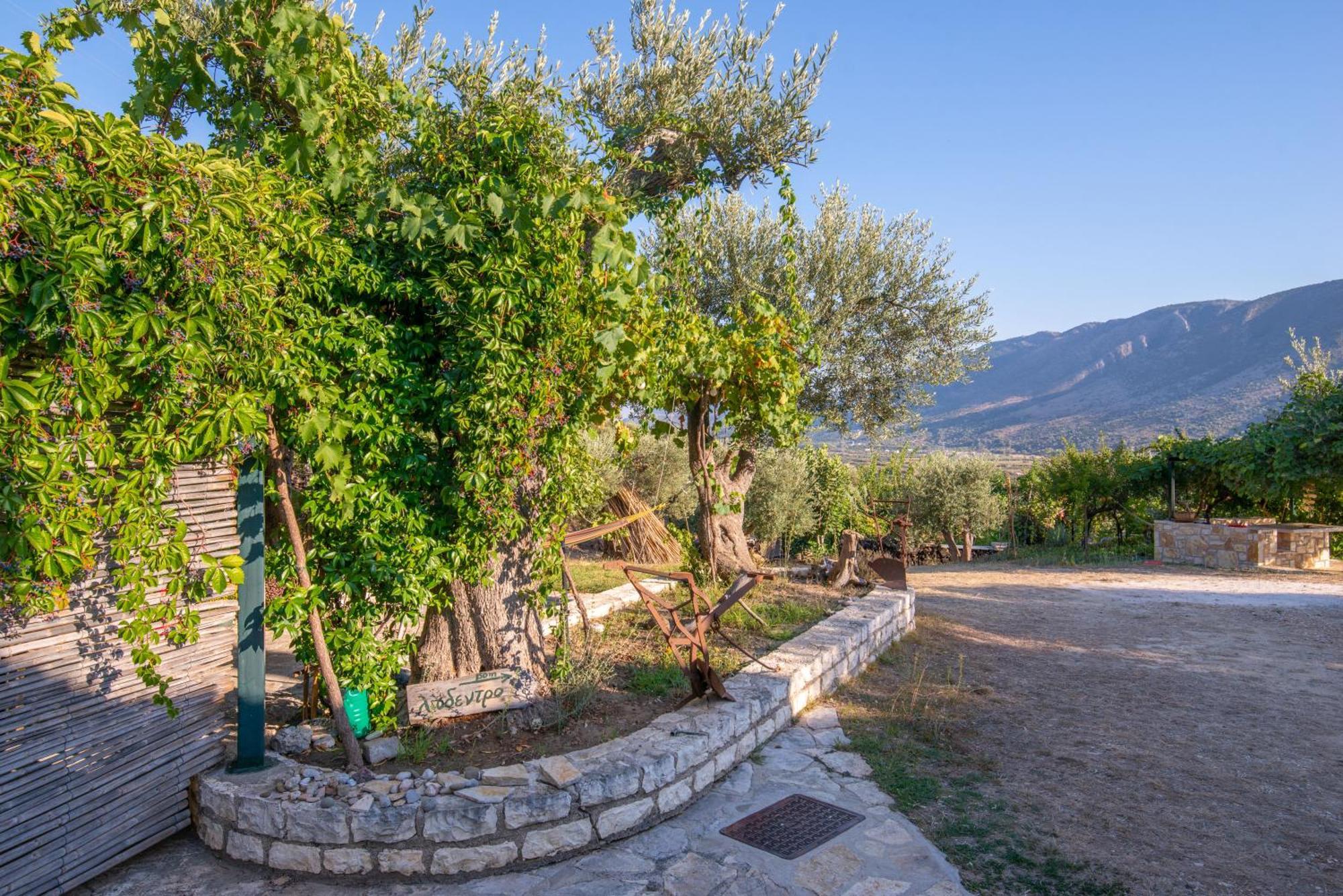 Villa Liodentro - Olea Plataria Exterior foto